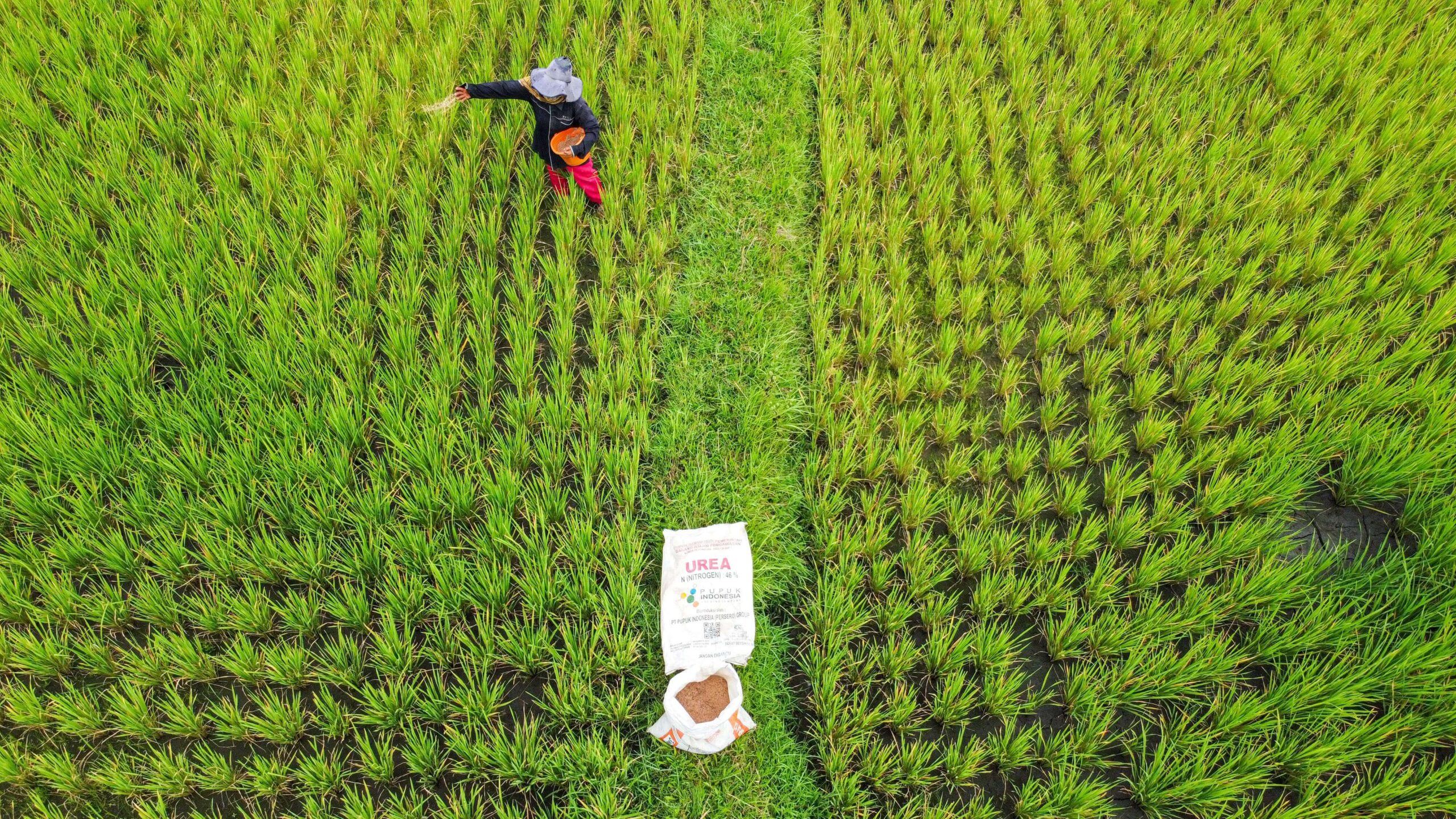 Pupuk Indonesia